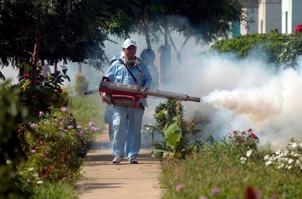 Alerta en el sureste del país por virus Chikunguña