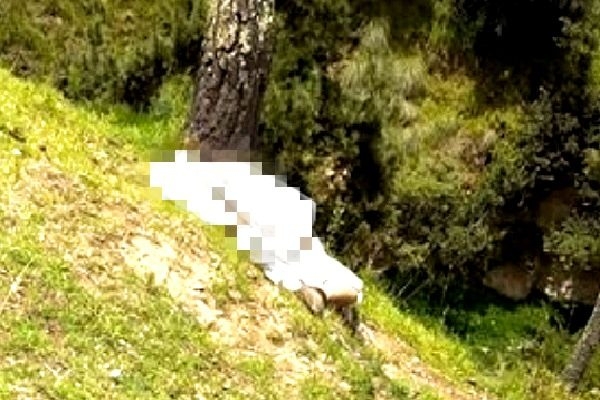 Hallan cadáver en barranca de San Miguel Canoa