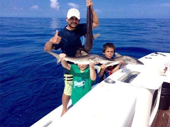 Polémica por ex candidato del PVEM captado pescando crías de tiburón