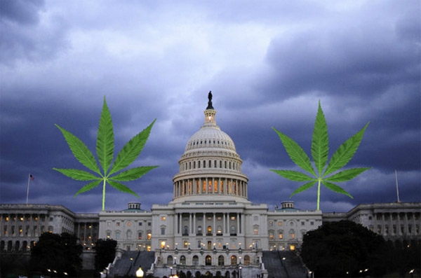 Aprueban uso recreativo de la mariguana en la capital de EU