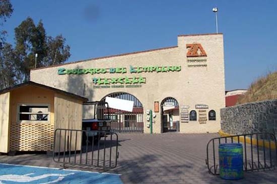 Se fugaron dos venados del Zoológico del Altiplano en Tlaxcala