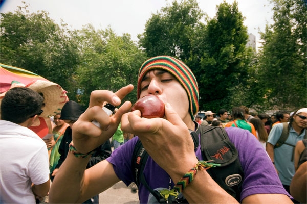 Jaliscienses aprueban en consulta despenalizar la mariguana