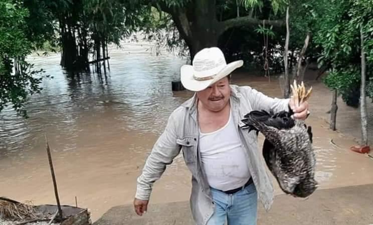 Se desborda río en Tecomatlán y Piaxtla; se lleva ganado y cultivos