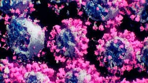 Sí hay mutación mexicana del coronavirus: científicos