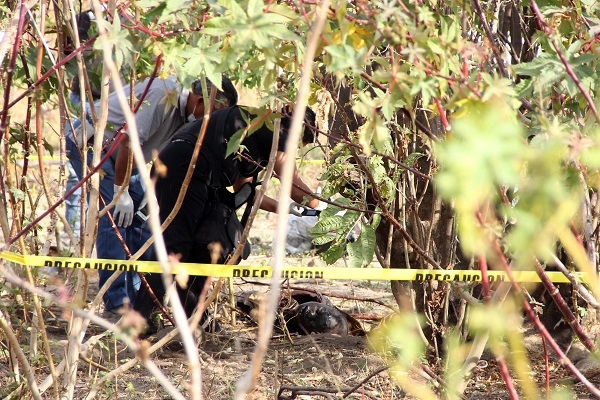 Encuentran cadáver de mujer que era devorado por animales en Atlixco