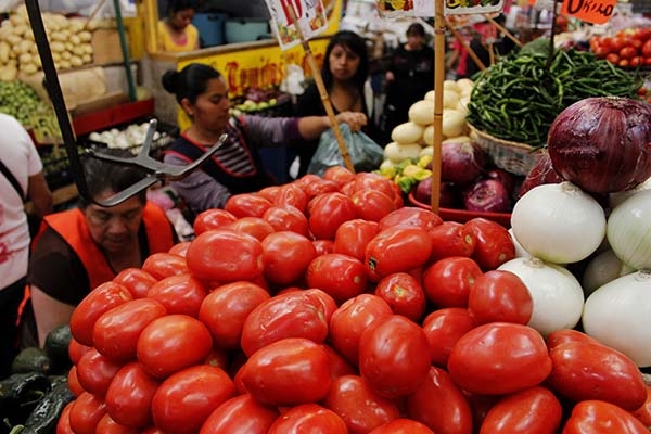Productores poblanos de jitomate se verían en la necesidad de dejar de exportar por arancel