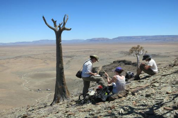 Hallan arrecife de 550 millones de años en Namibia