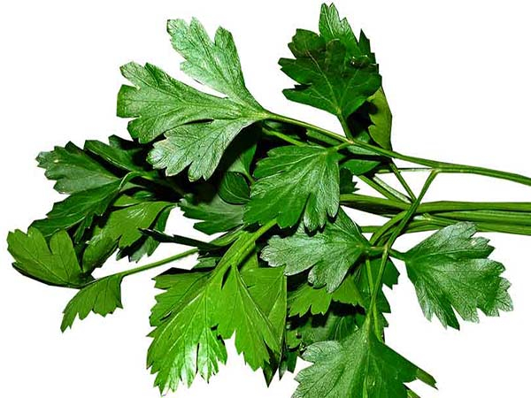 Perejil, todos los beneficios para tu salud