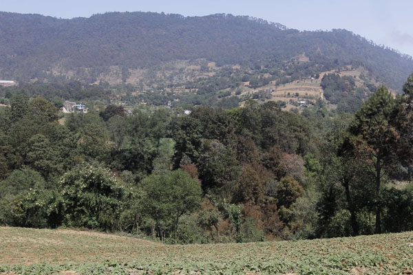 Señalan riesgo ambiental en Puebla por 103 concesiones mineras