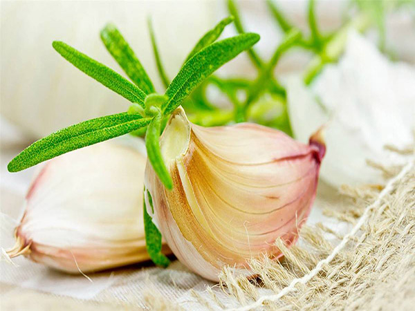 Todos los beneficios del ajo para tu salud