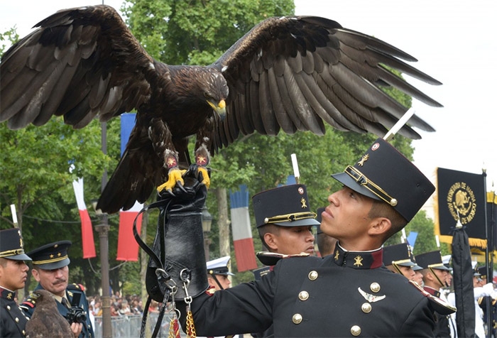 FOTOS: Militares mexicanos desfilan en Fiesta Nacional de Francia