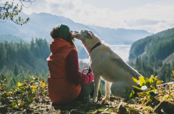 ¿Vacaciones con todo y mascota? Esto debes saber