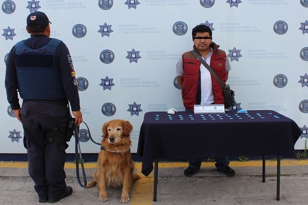 Binomio K9 detectó a sujeto con 37 dosis de cocaína en la CAPU