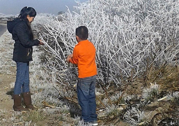 FOTOS: Siguen heladas en Puebla; Real del Valle a -9.1 grados