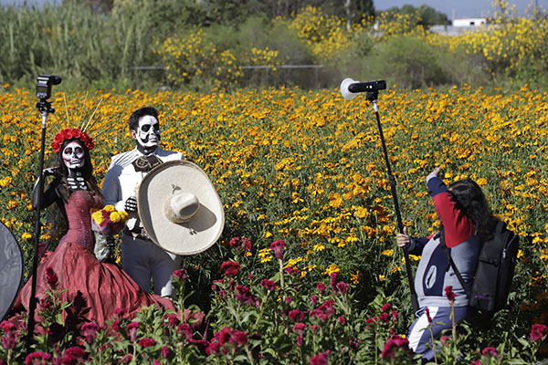 Campos de cempasúchil de Cholula, gran atractivo turístico