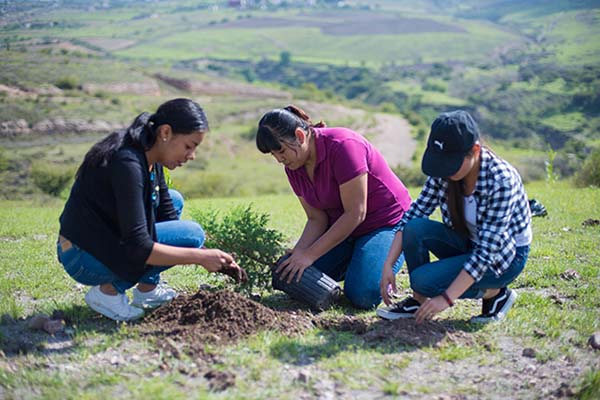 La BUAP convoca al curso en línea “Hacia una responsabilidad social y sostenible”