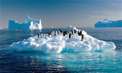 Cambio climático provocará estados ambientales inéditos
