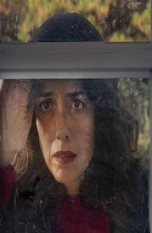 VIDEO: La Casa de las Flores estrenó tráiler oficial