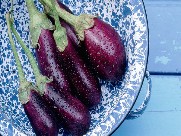 Todos los beneficios de comer berenjena