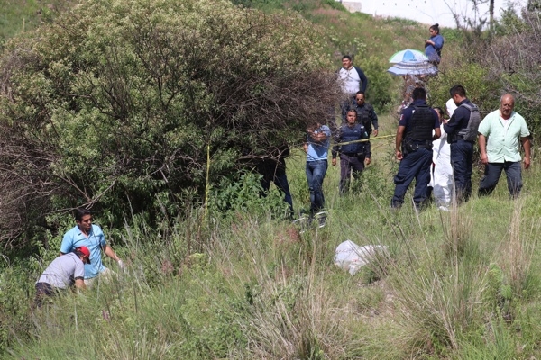 Perros pitbull atacan y matan a anciana en Puebla