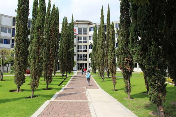 Alumnos de la UMAD apoyan a empresas afectadas por la pandemia