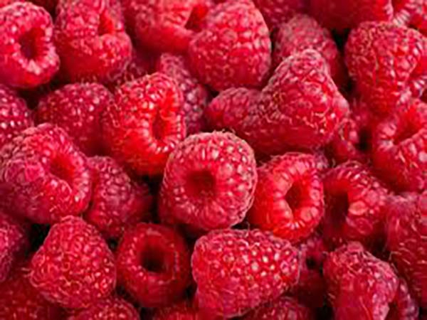 Todos los beneficios de comer frambuesas