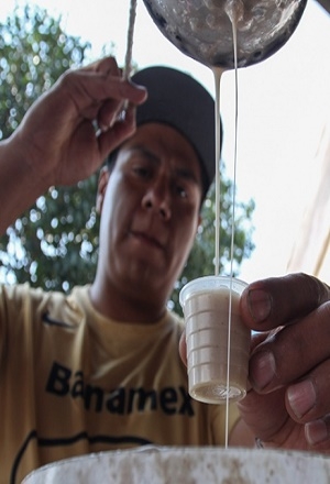 Pulque y los beneficios para su consumo