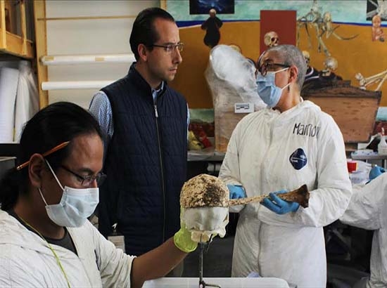 Avanza restauración de los restos de los hermanos Serdán