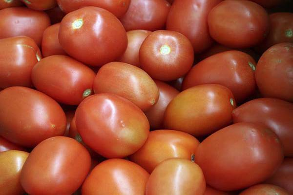 Jitomate de Puebla, a supermercados de Oklahoma, Estados Unidos