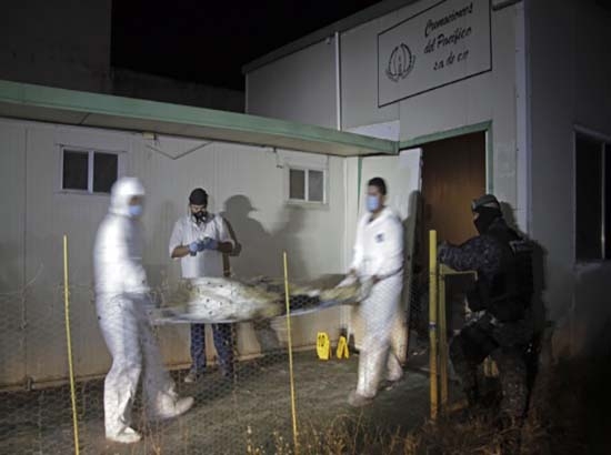 Hallan 61 cadáveres en crematorio abandonado de Acapulco