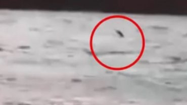 VIDEO: Monstruo del Lago Ness aparece en video de aficionado