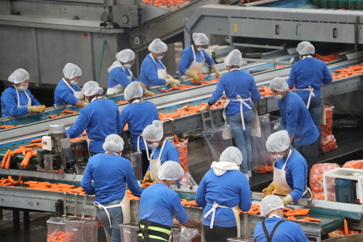 Puebla recuperó 11 mil empleos en octubre y noviembre