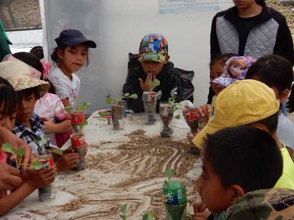 Niños disfrutan por cuarta ocasión del campamento “Neneuki”