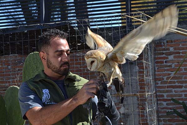 La BUAP trabaja en la conservación de vida silvestre a través de UMA Konkon