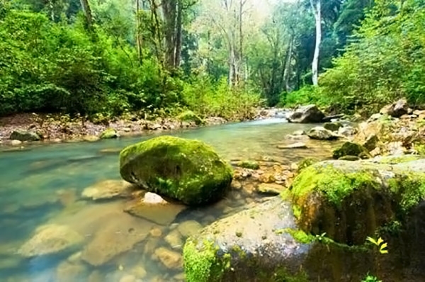 Río Apulco y sus espectaculares paisajes en la Sierra poblana