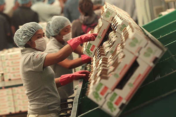 5 claves para comenzar a exportar tus productos