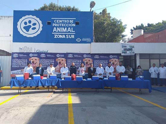 Del 11 al 17 de marzo en Puebla, semana de vacunación antirrábica