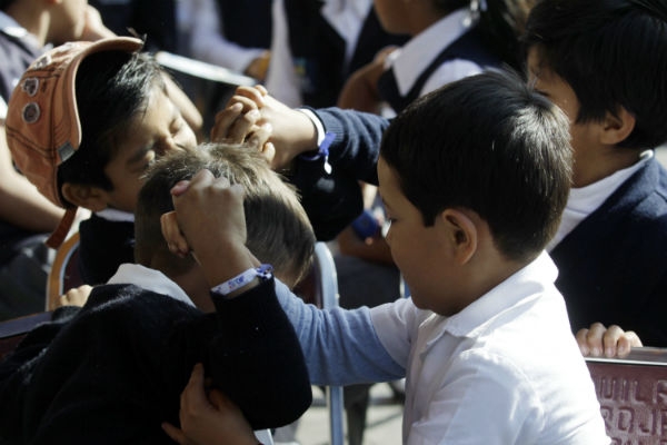 Diputados del PAN y PNA de Puebla omisos ante bullying