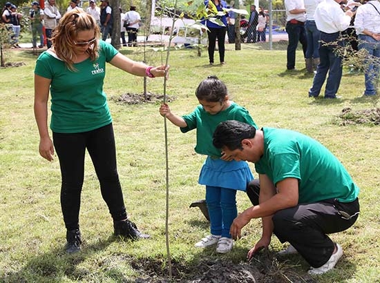 Inicia reforestación en Parque Ecológico Revolución Mexicana; sembrarán 2 mil fresnos