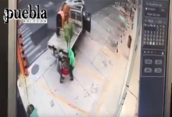 Ahora se roban también las plantas en Puebla