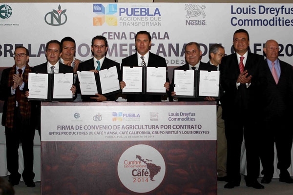 Transnacionales contratan cultivos de café de Puebla por 850 mdp