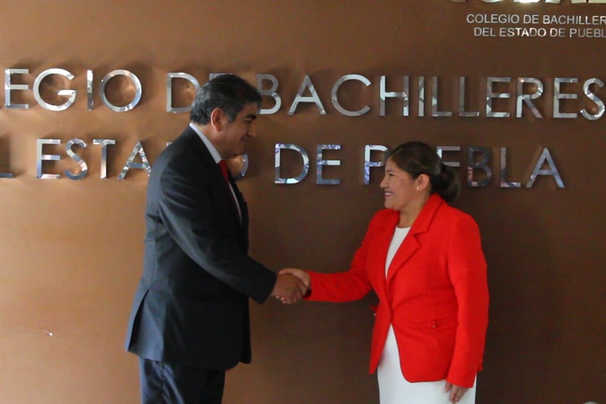 Aurelia García, nueva directora del Cobaep