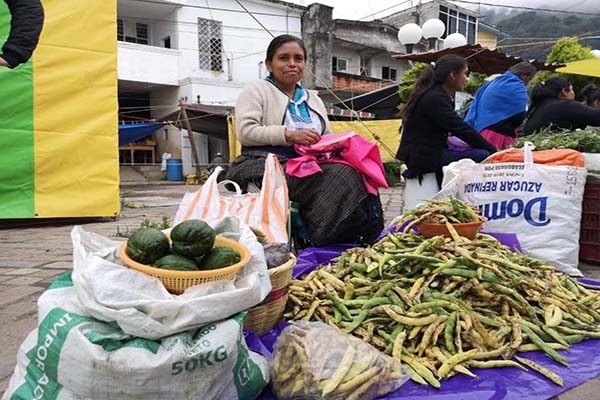 Más de 136 mil mujeres en el campo de Puebla producen alimentos para millones de personas
