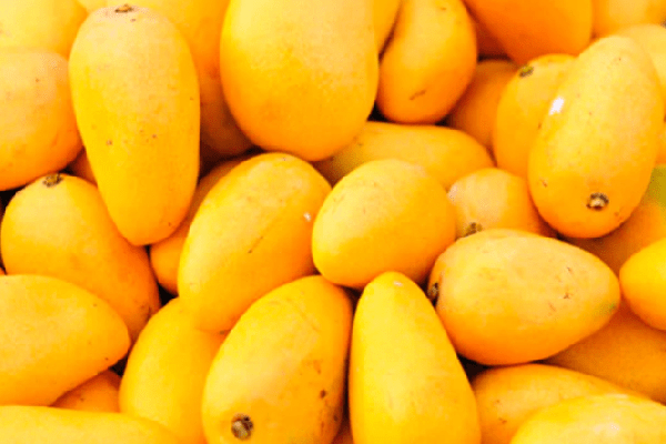¡Mango! Todos los beneficios de comer esta fruta