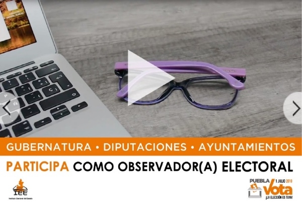 Observadores electorales: 31 de mayo, fecha límite para inscripción