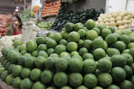 Limón sigue dejando sabor amargo; se mantiene en 60 pesos el kilogramo