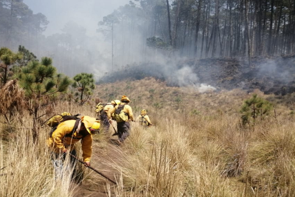 Implementa Medio Ambiente estrategias contra la sequía y ola de calor