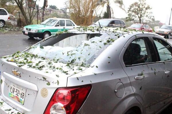 Xalapa: suman 240 casas y 300 coches afectados por granizada