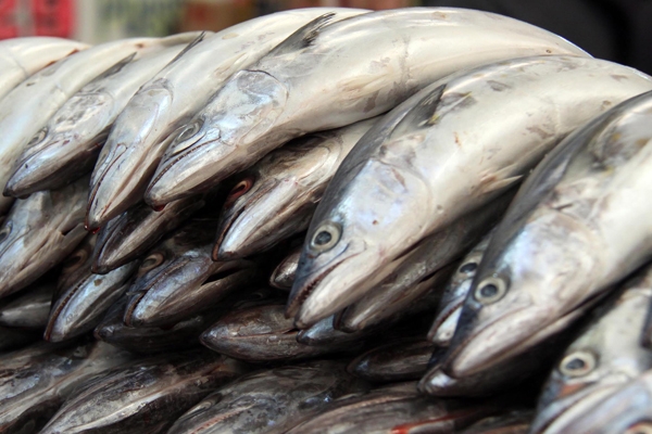 En Cuaresma se comercializarán 250 mil toneladas de productos del mar