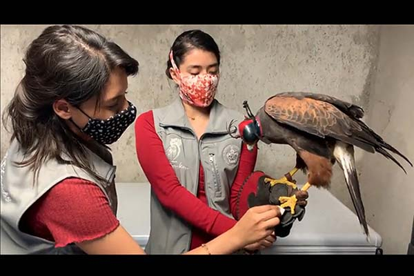 Alumnas de la BUAP ganan concurso de VW “por Amor a México, Chav@s”